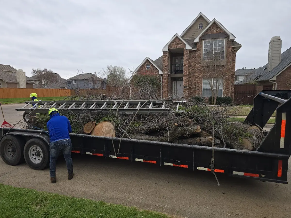 Expert Tree Removal with proper safety equipment in Walhonding